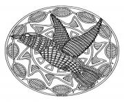 free mandala difficult adult to print bird 